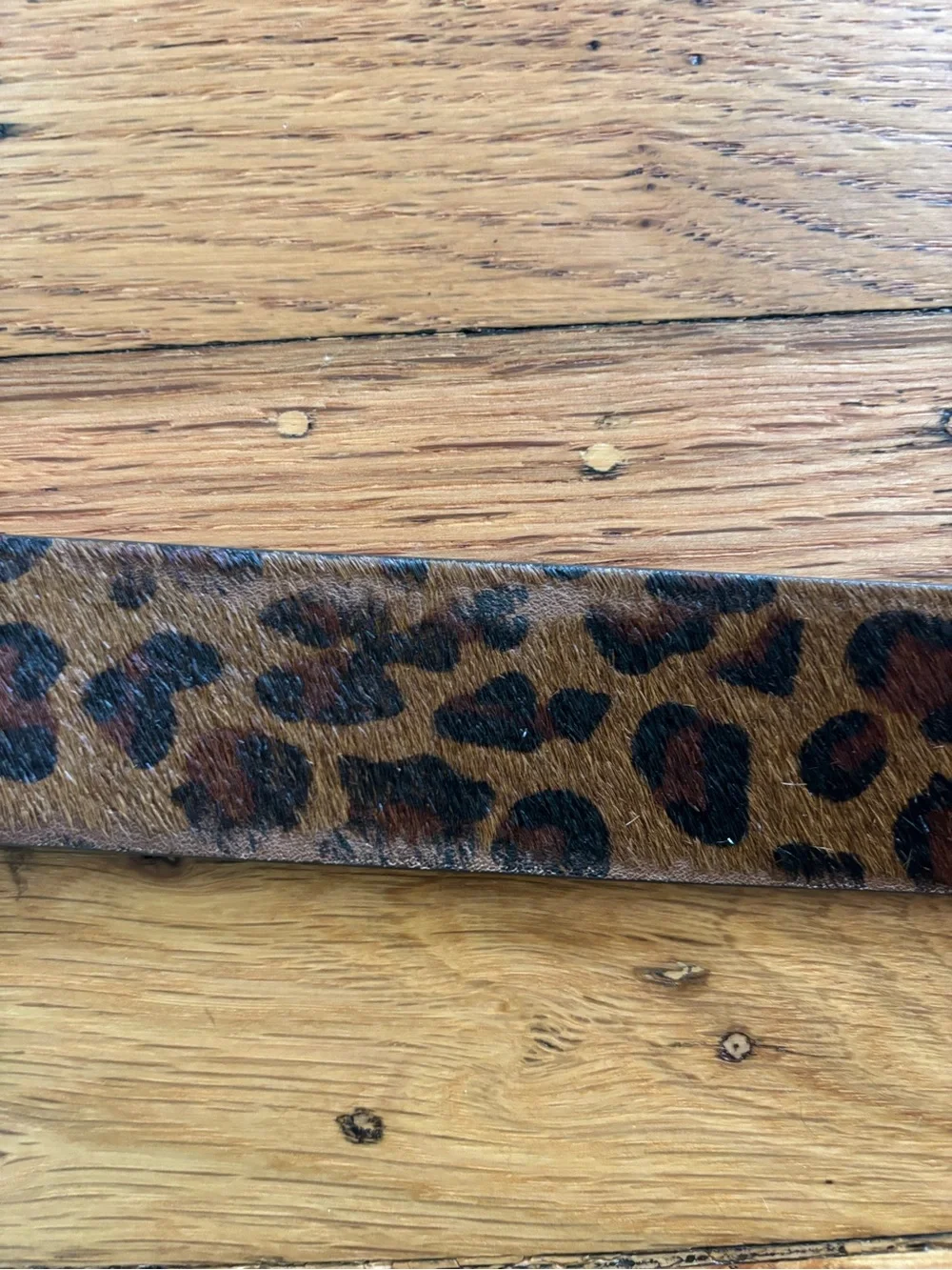 J. Crew Leopard Print Brown and Black Belt with Gold Buckle - Picture 4 of 6